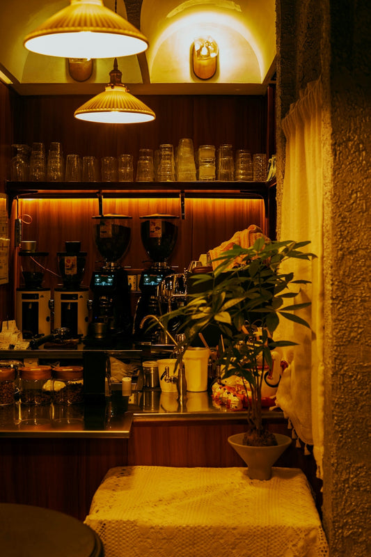 Coffee shop counter with espresso machines and plant.